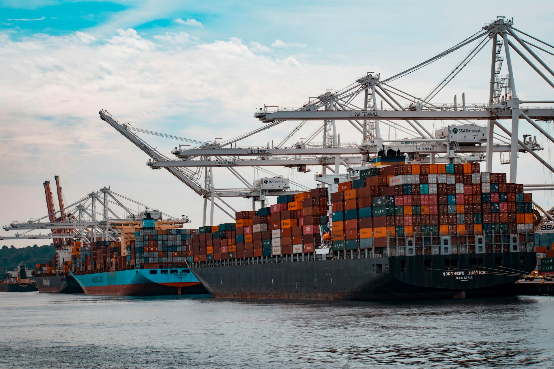 MSC Container Ship